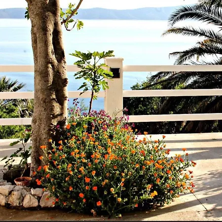Apartman Lendic Podgora (Split-Dalmatia)
